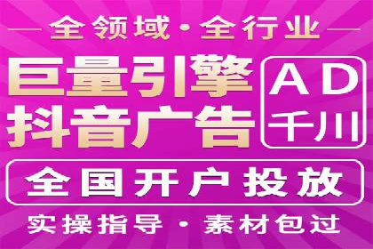 网络营销新篇章：竞价推广案例分析